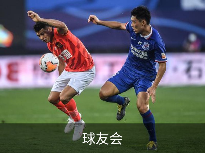 球友会概况